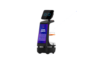 Intelligent reception robot