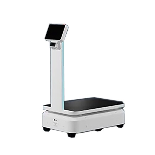 Industrial distribution handling robot D-300E